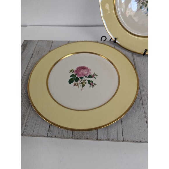 FL11 Yellow Dinner Plates Set of 2 California Gold Flintridge Sylvan China - Picture 2 of 13